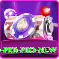Bingo PKR Pro New
