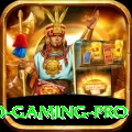 PKR Casino Gaming Pro